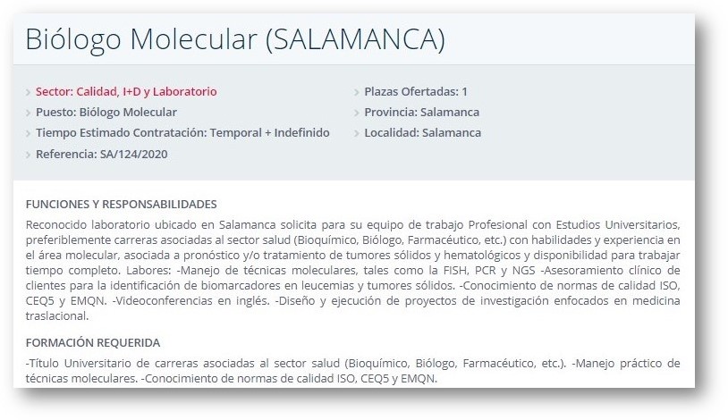 oferta de empleo ymca